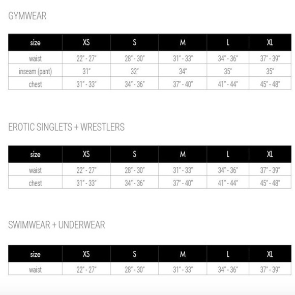 N2N Bodywear Low Rise Pouch Briefs XL 92% polyester / 8% spandex silk-like - Picture 5 of 5